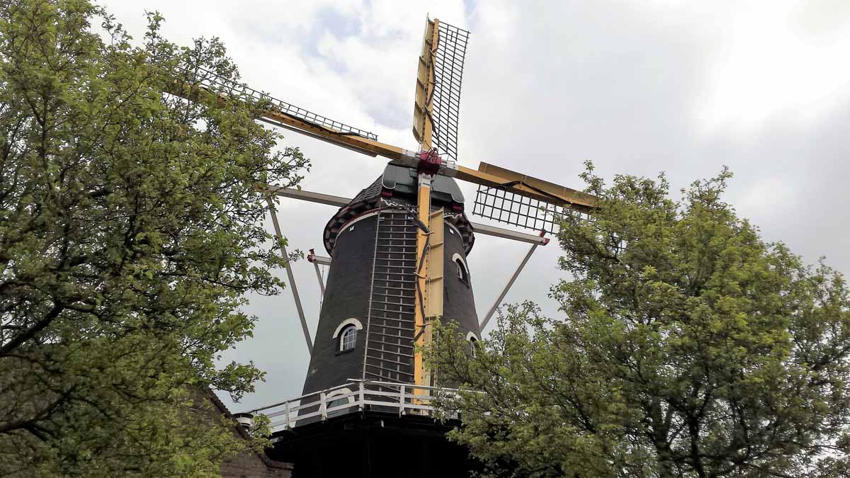 thema image klarendaalseweg